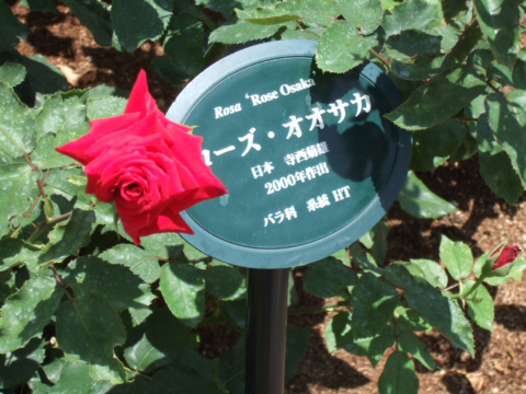 鶴見緑地