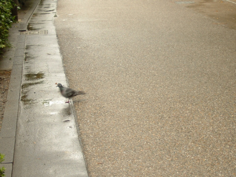 ���s�E���R