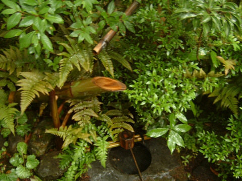 ���s�E���R