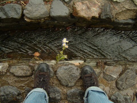 ���s�E���R